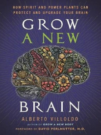 Grow a New Brain : How Spirit and Power Plants Can Protect and Upgrade Your Brain