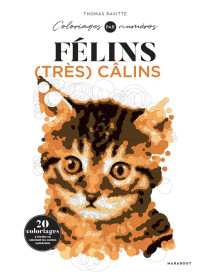Coloriages magiques : félins très câlins