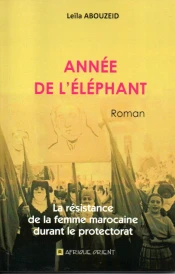 Année de l'éléphant