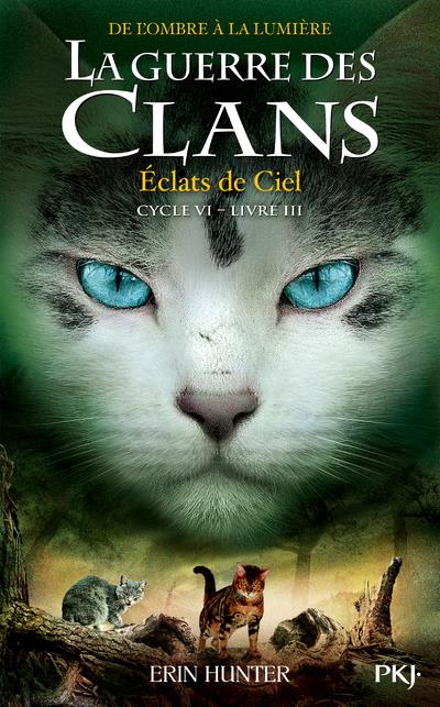 La guerre des clans - cycle 6 ; de l'ombre à la lumière t.3 ; éclats de ciel