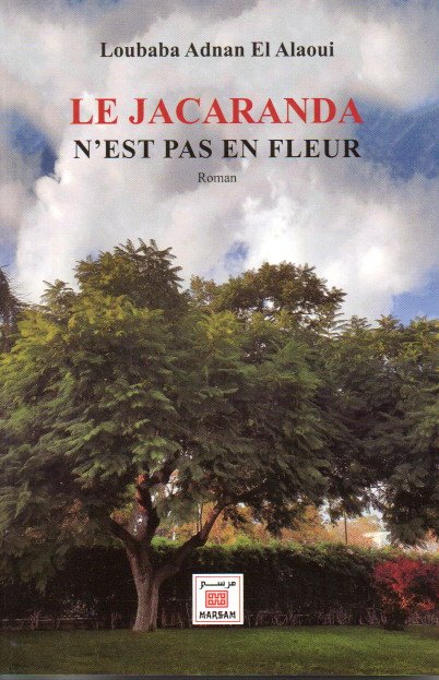 Le Jacaranda n'est pas en fleur