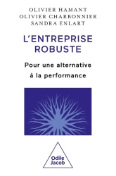 L'entreprise robuste : Pour une alternative à la performance